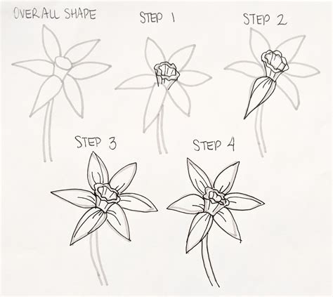 How to draw a Flower Step by Step .